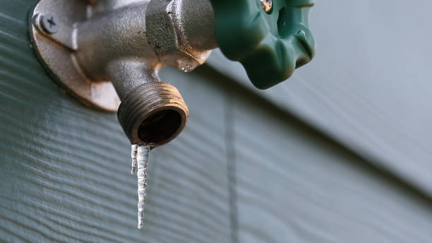 Best Leak Detection Services  in Bluewell, WV